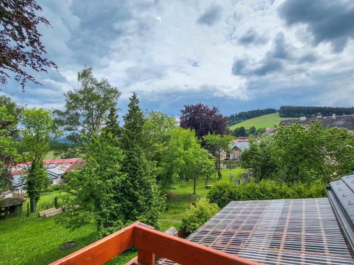 Apartmany U Kolacku Hartmanice  Bagian luar foto